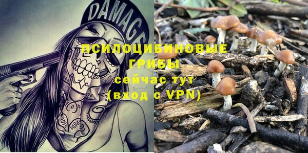 марки nbome Алзамай