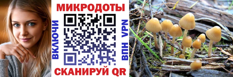 Купить закладки  Севск  Псилоцибиновые грибы MAGIC MUSHROOMS 