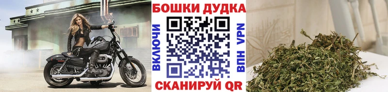 Бошки марихуана план  Купить закладки  Севск 